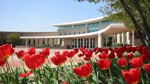 Umbrella Factor: Estate Planning