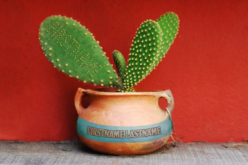 Cactus
