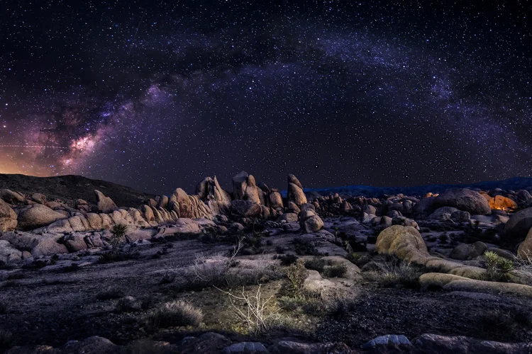 06 - Joshua Tree National Park