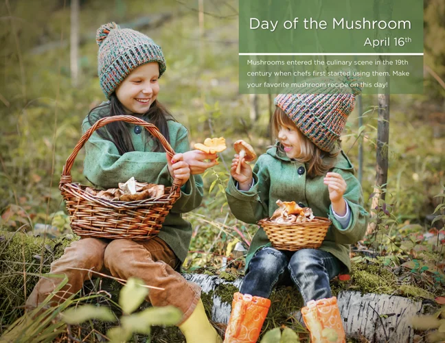 04 - Mushroom Day