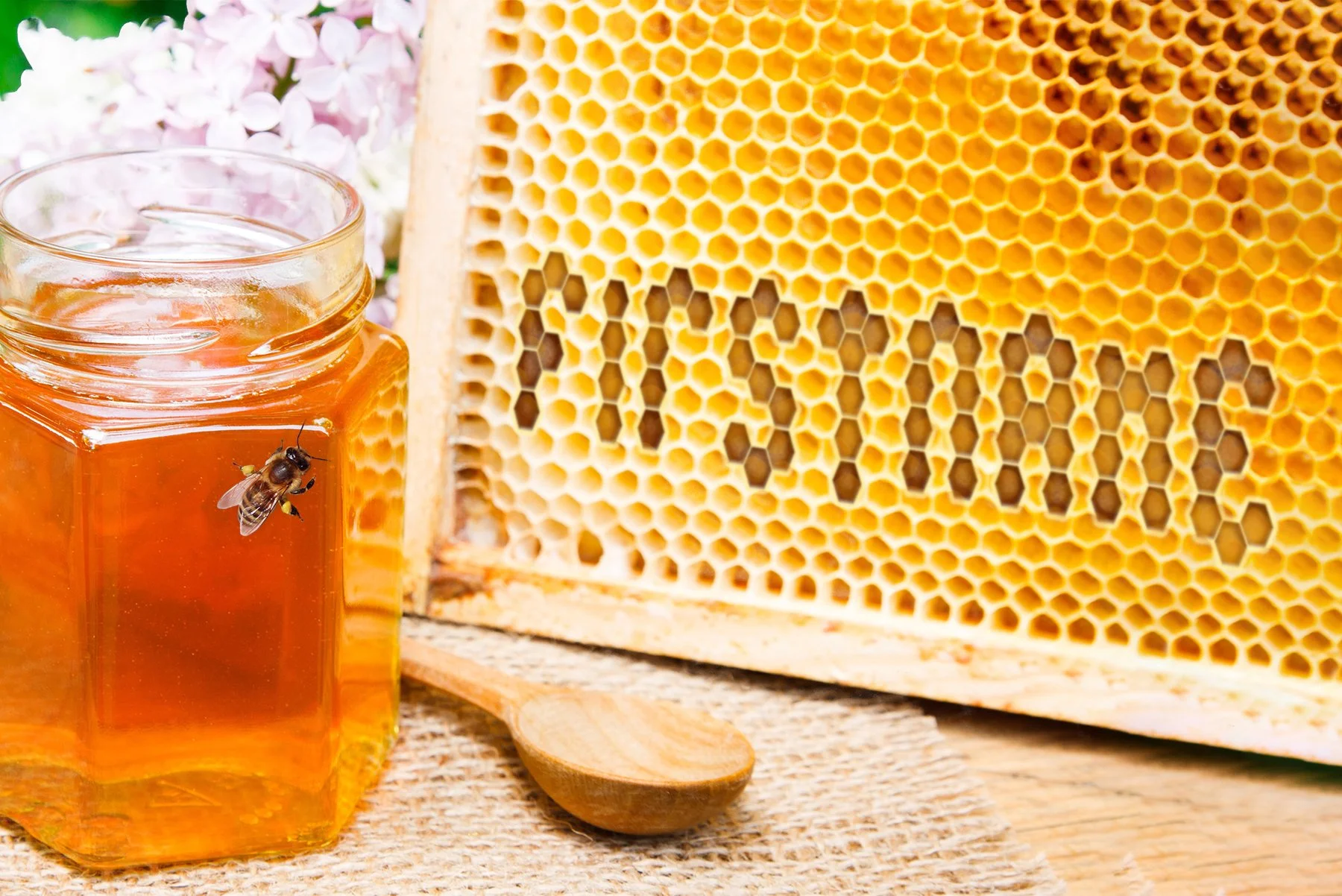 Mar - Honey