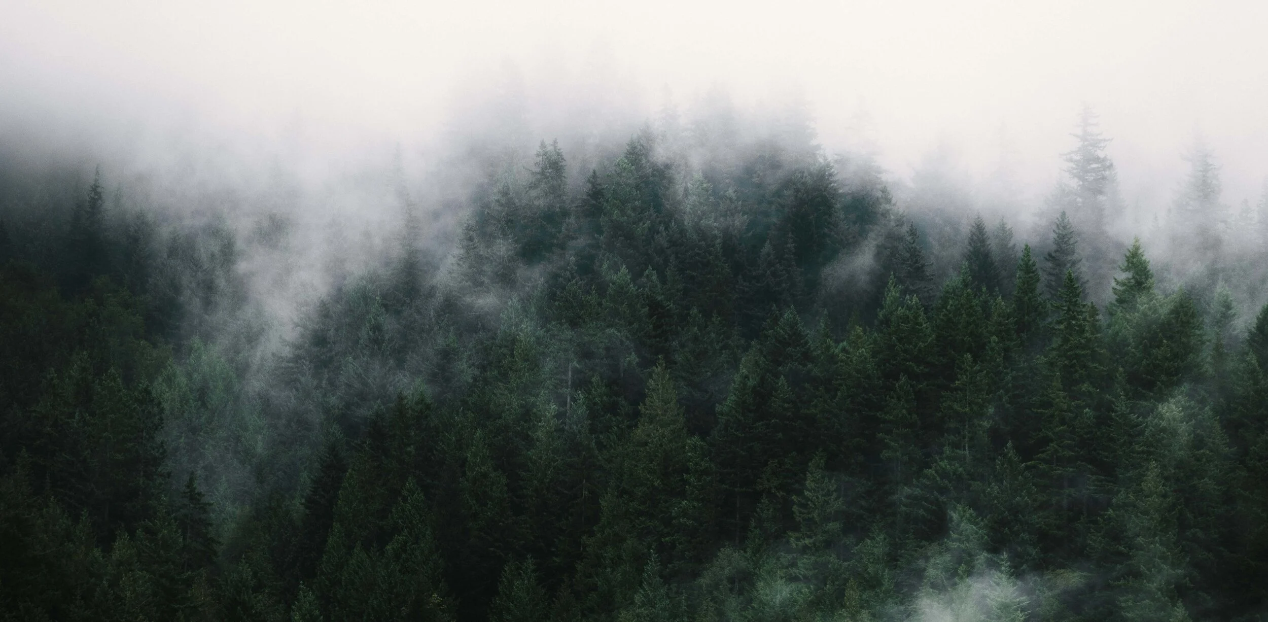 McAlpine Studios London Ontario Video Production