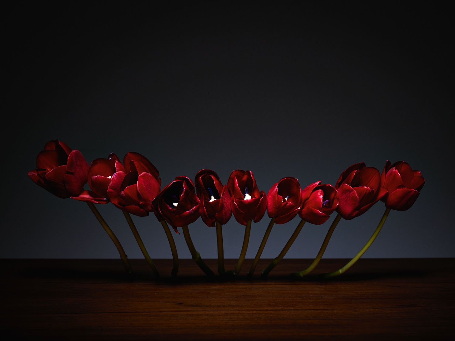 2015.02.10_Flowers109269 1.jpg