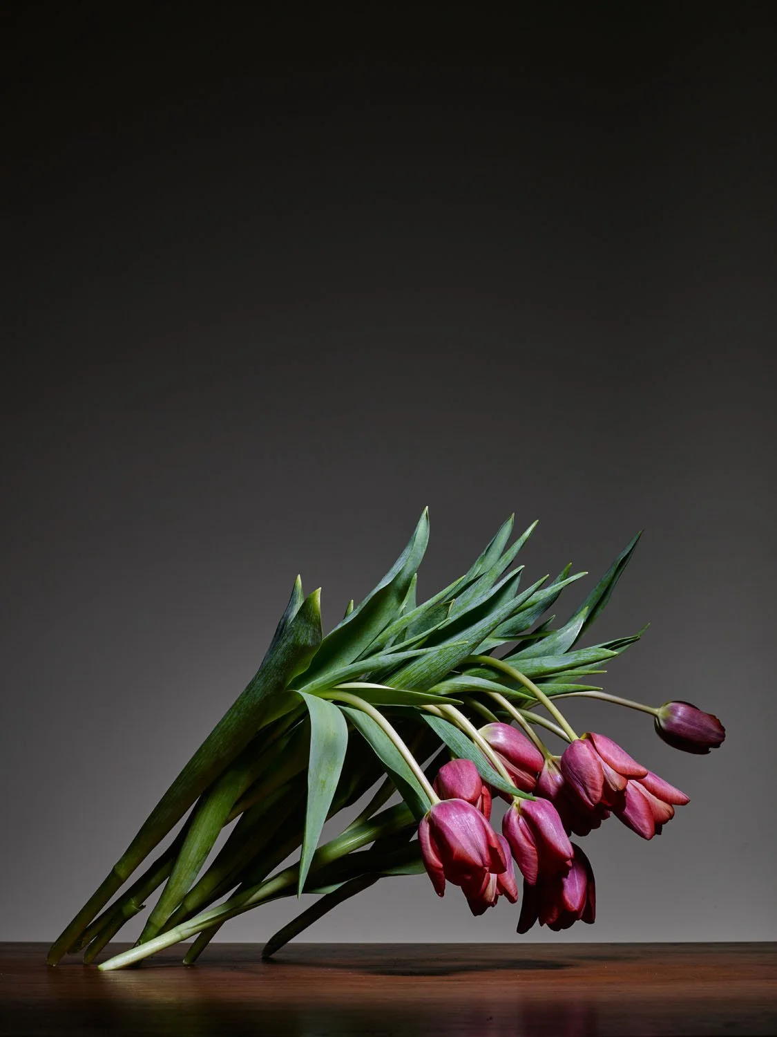2015.02.10_Flowers109373.jpg
