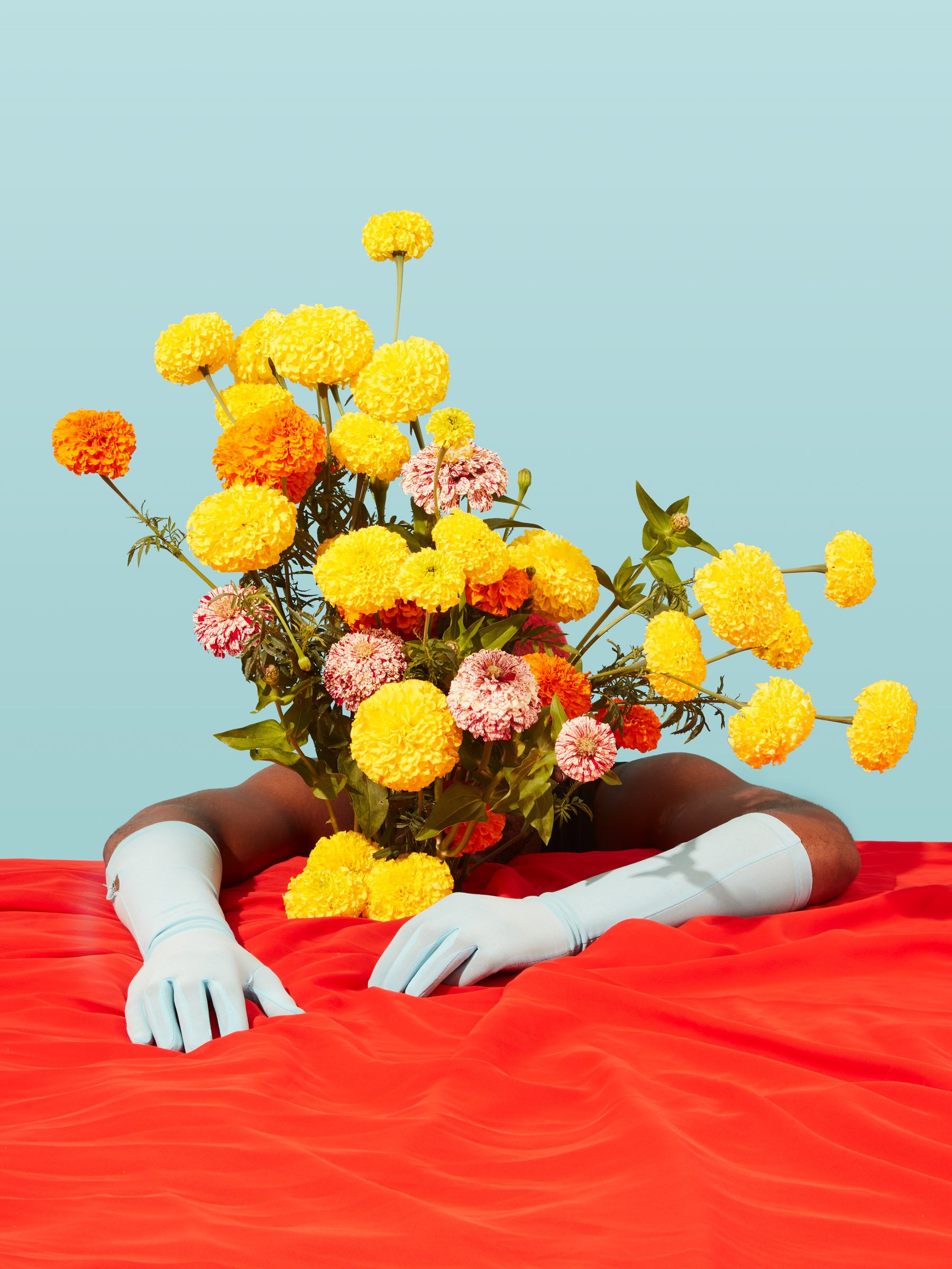 2018.08.13nic_FLOWERS3739.jpg
