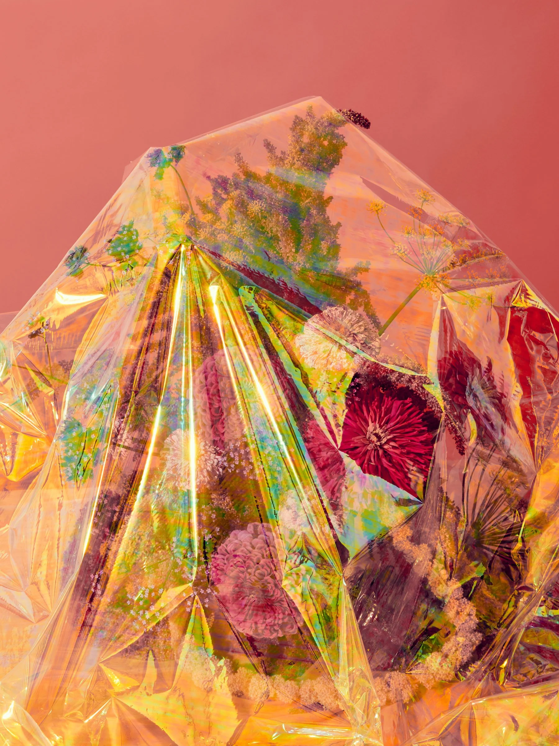 2018.08.13nic_FLOWERS3897.jpg
