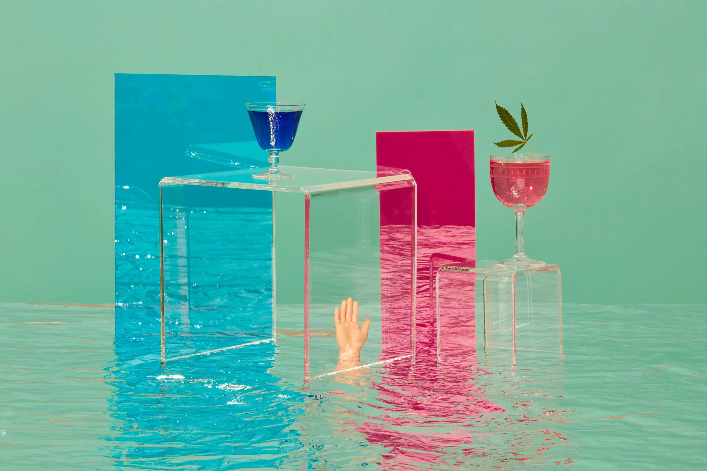 2018.09.11_ThomaAndHaley_StillLife4330.jpg