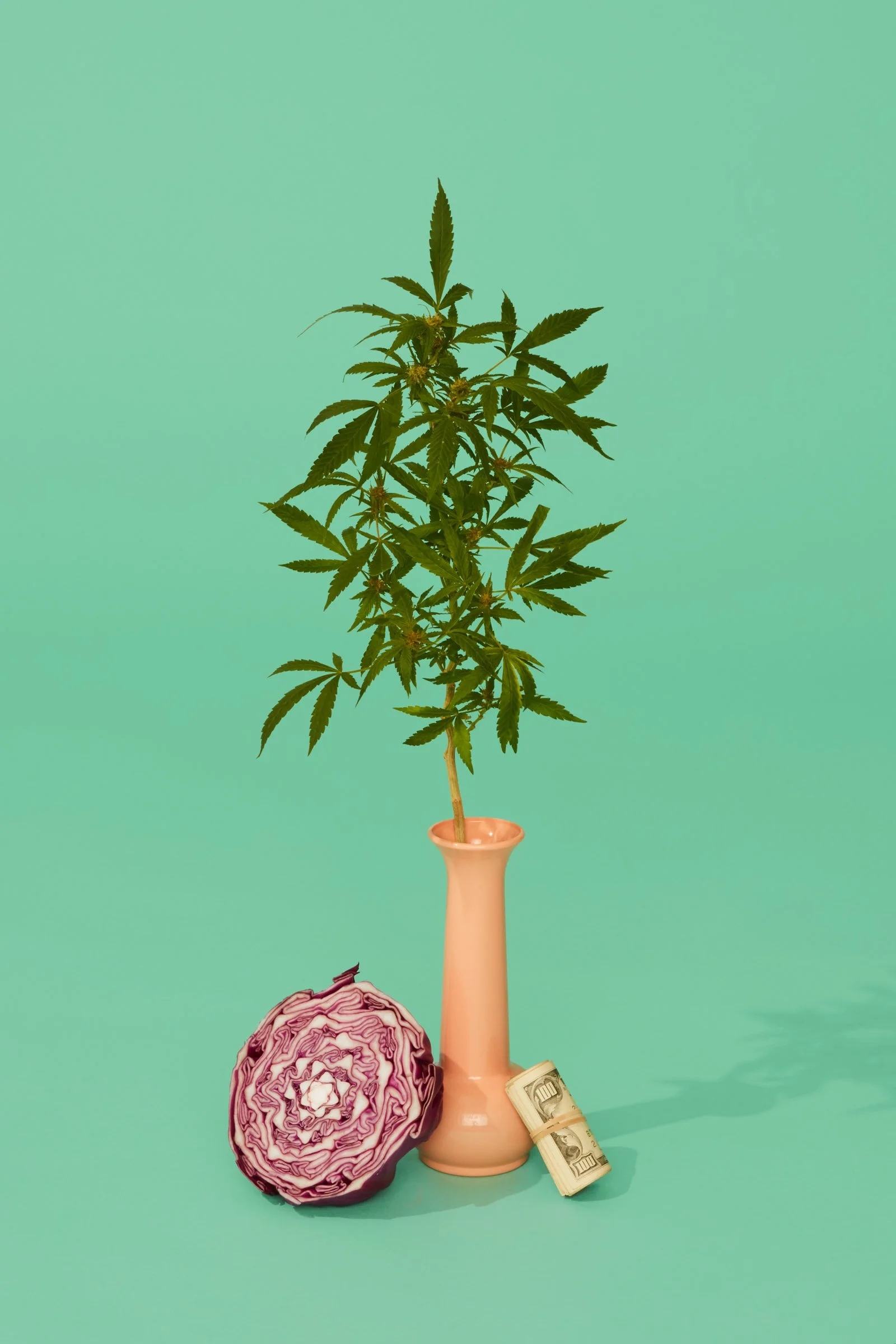 2018.09.11_ThomaAndHaley_StillLife4368.jpg