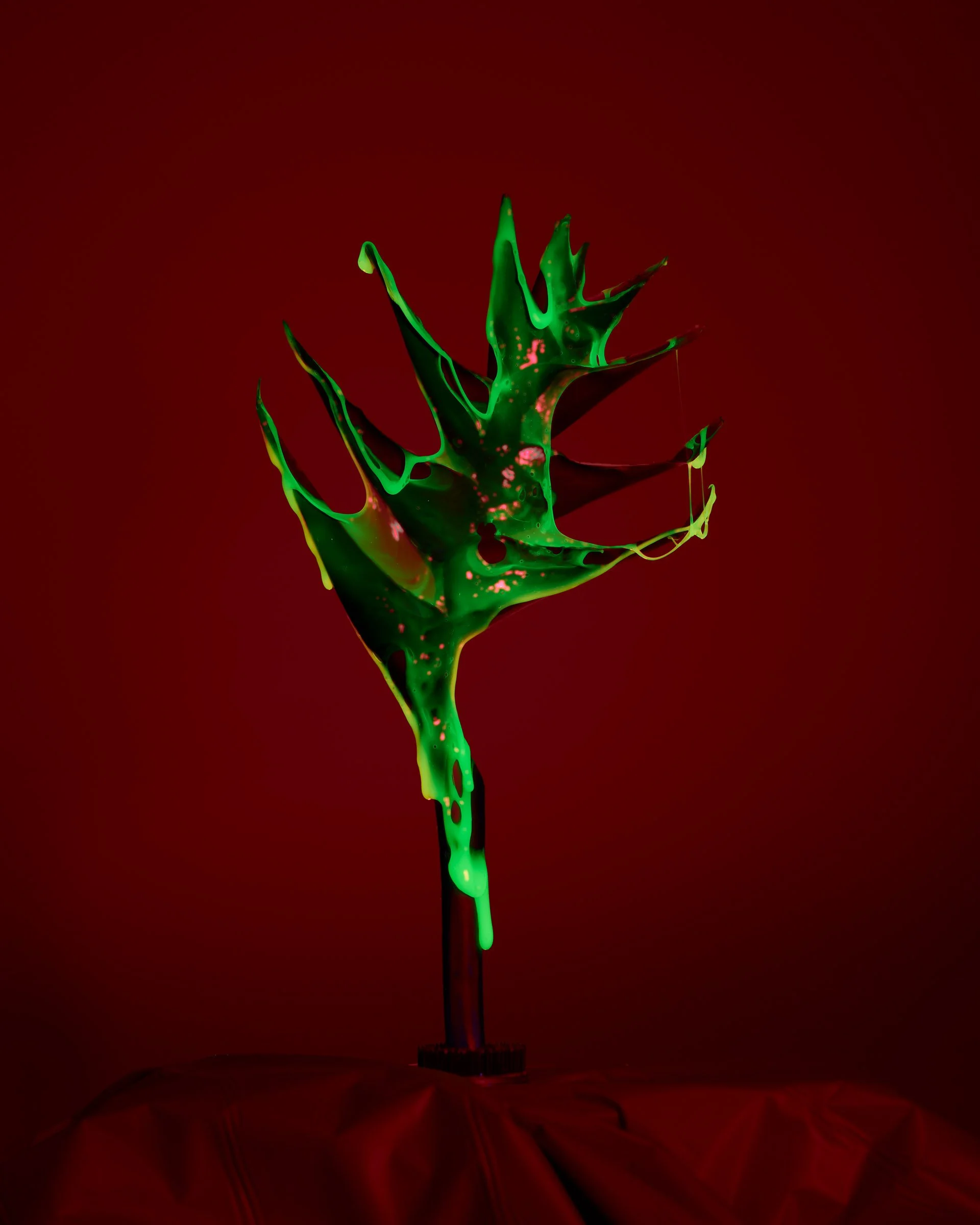 2020.02.07ManuTorresCollab_TESTLIGHT_0161.jpg