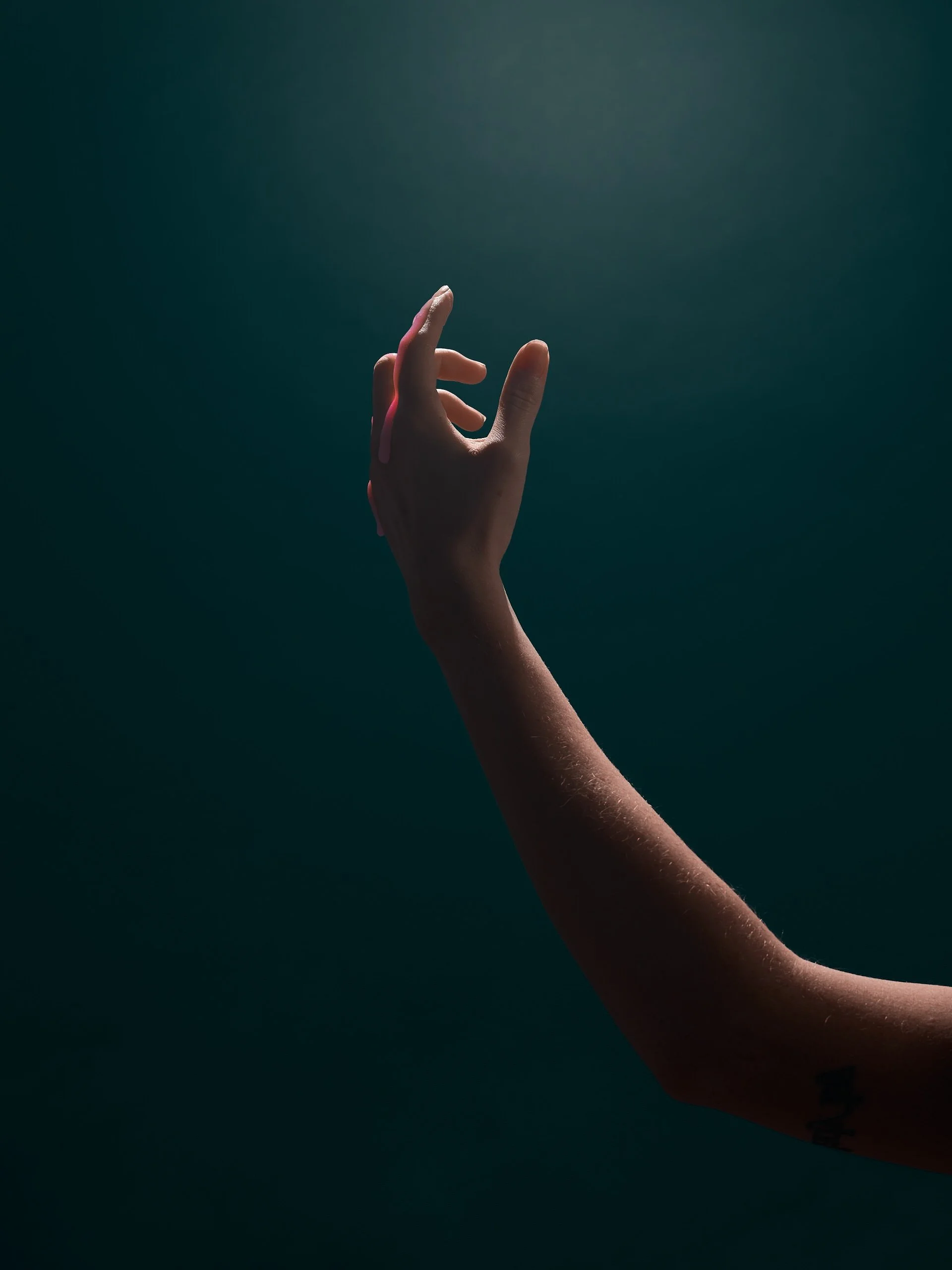 2023.03.16HANDS31667.jpg