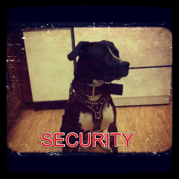 Taken with Instagram