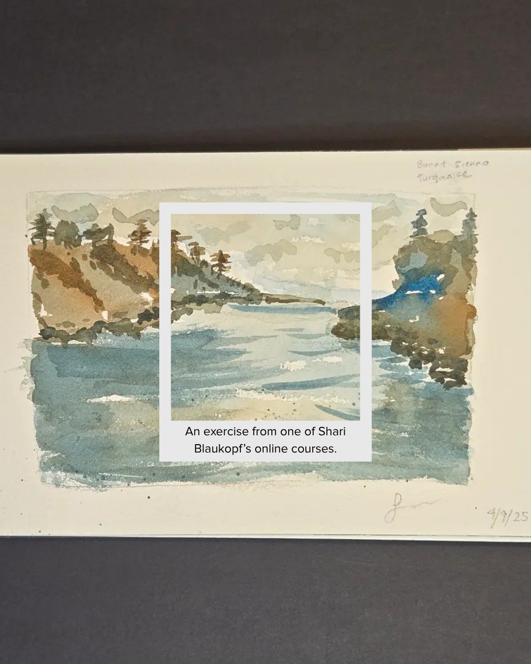 These are the little studies/sketches painted in between school pickups, folding laundry, and all the things. Some were "failed" plein air attempts, others simply experiments.

It's hard to share my bad art, but helpful. Not all of the art 
