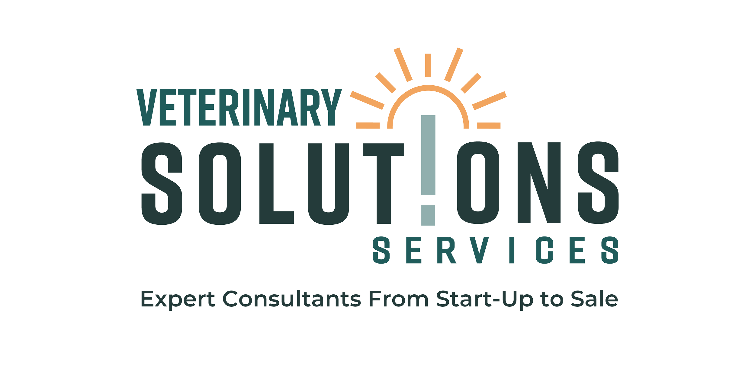Veterinary Solutions Services Testimonial