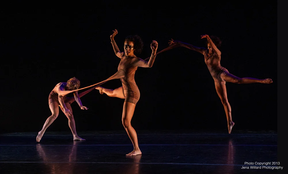 Dance in Flight: The Film