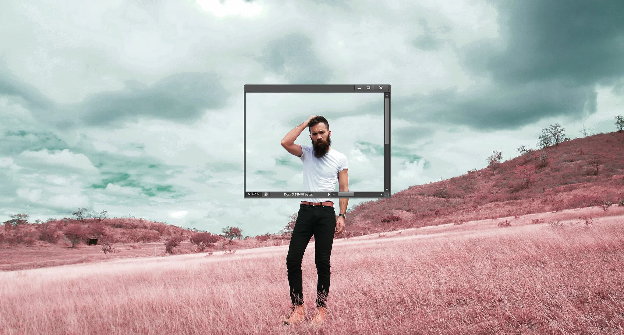 image.jpg