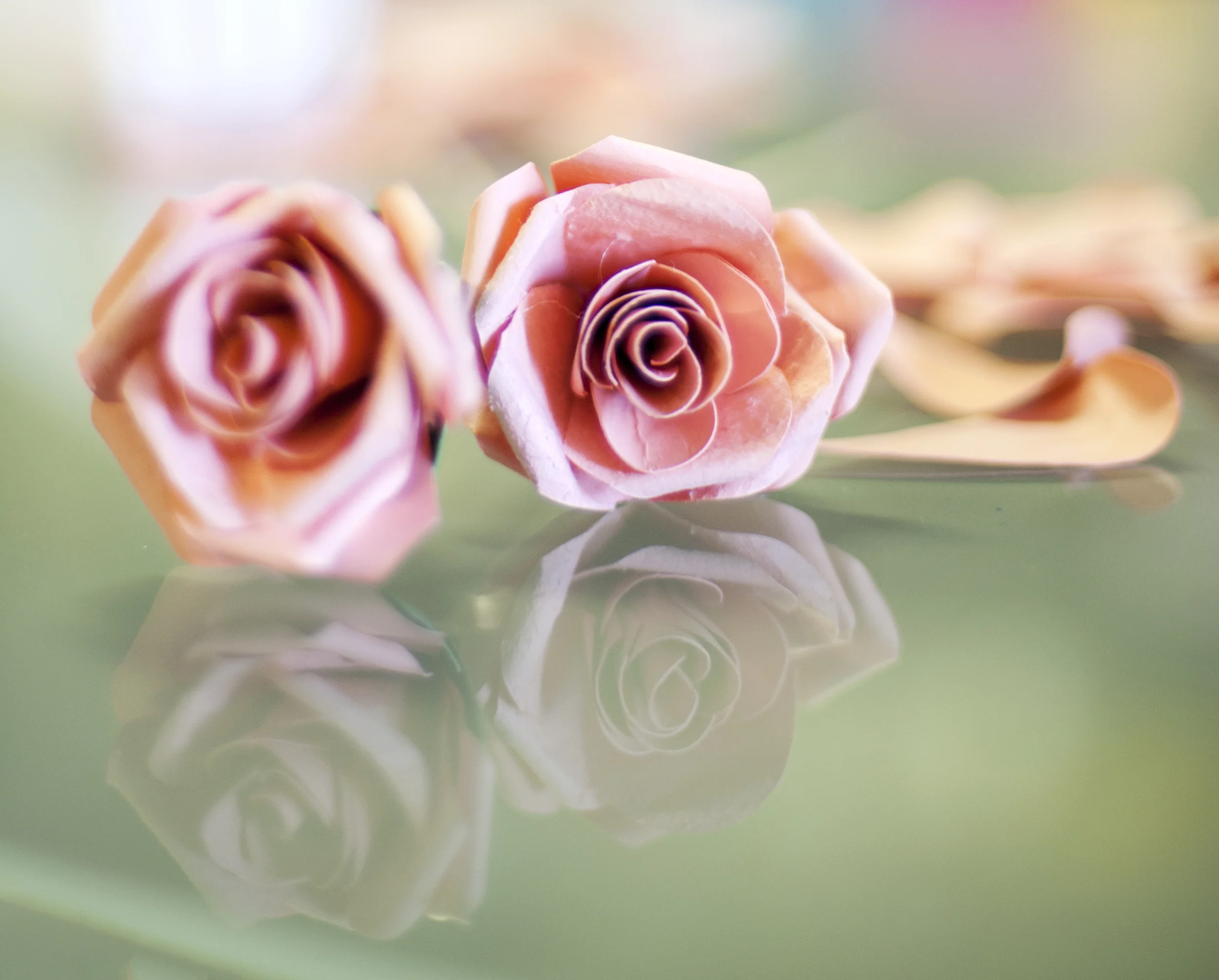 Maddies flowers_0069.jpg