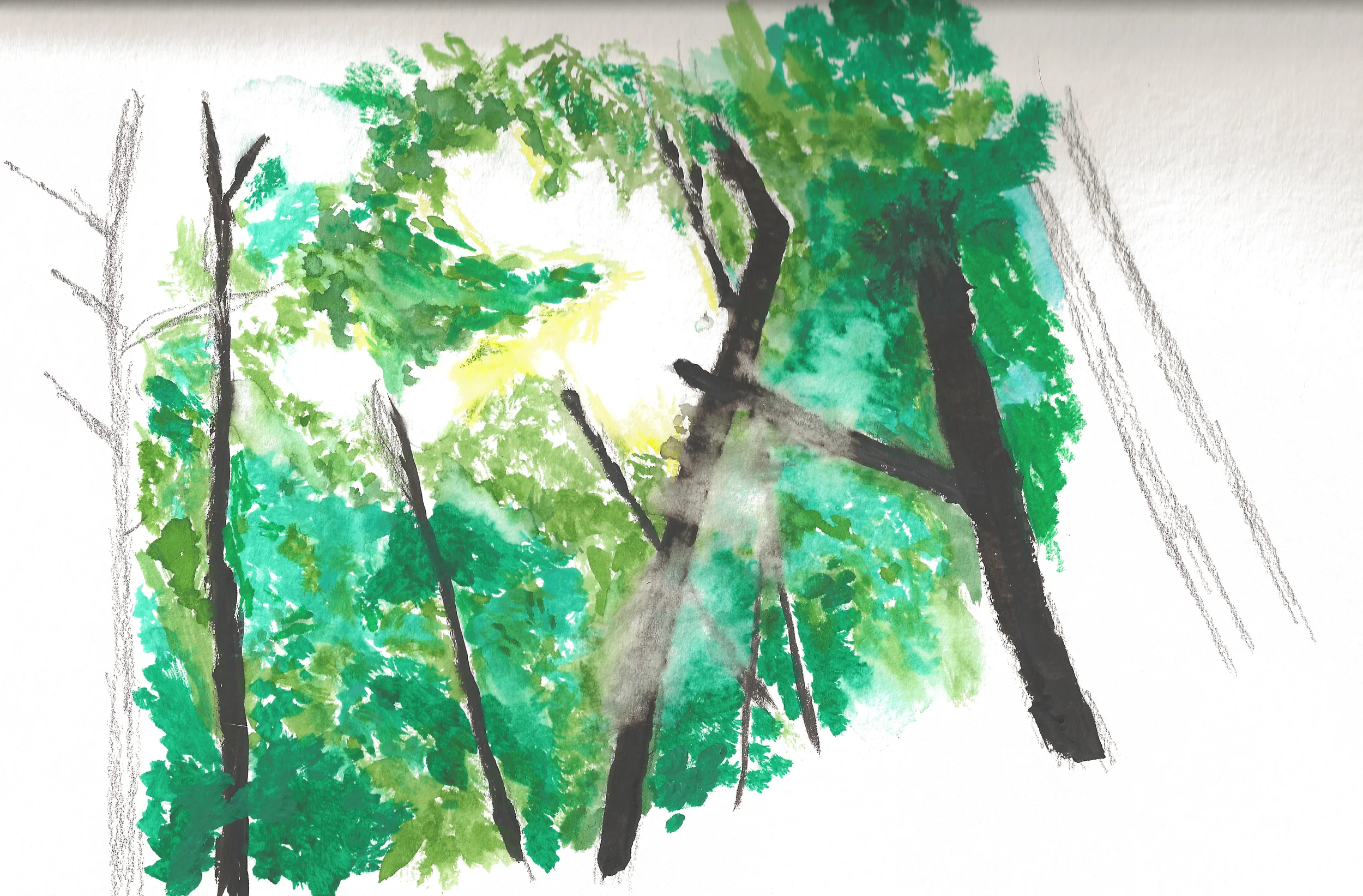 Forest watercolor