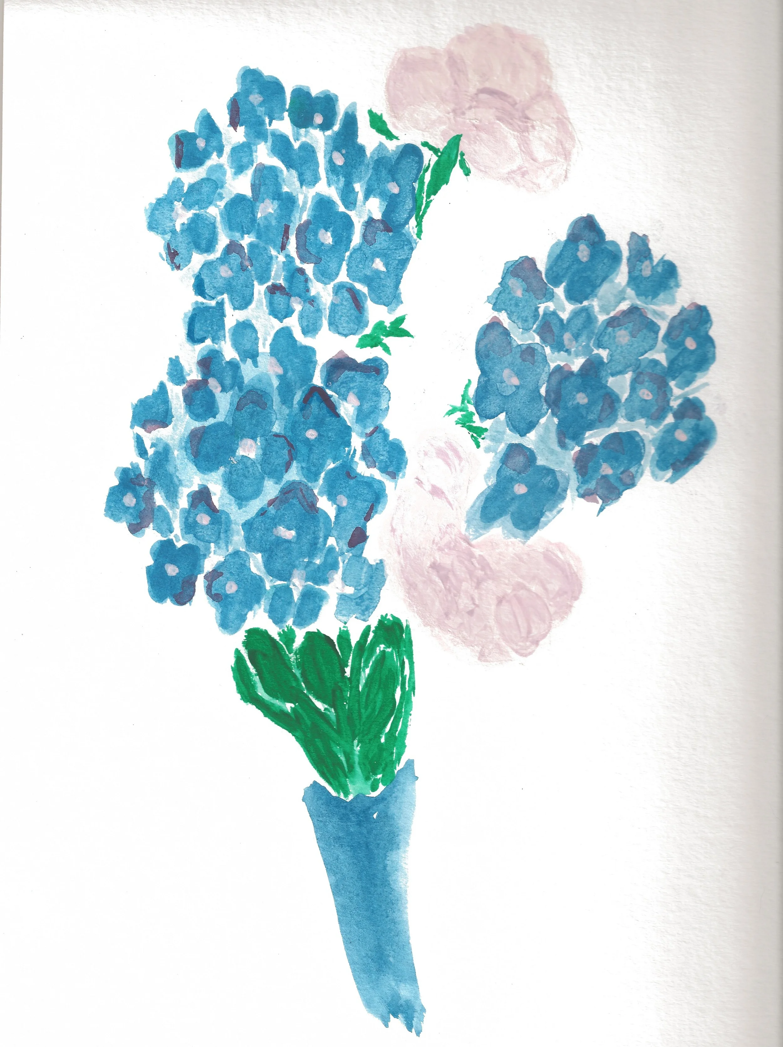 Hygdrania watercolor