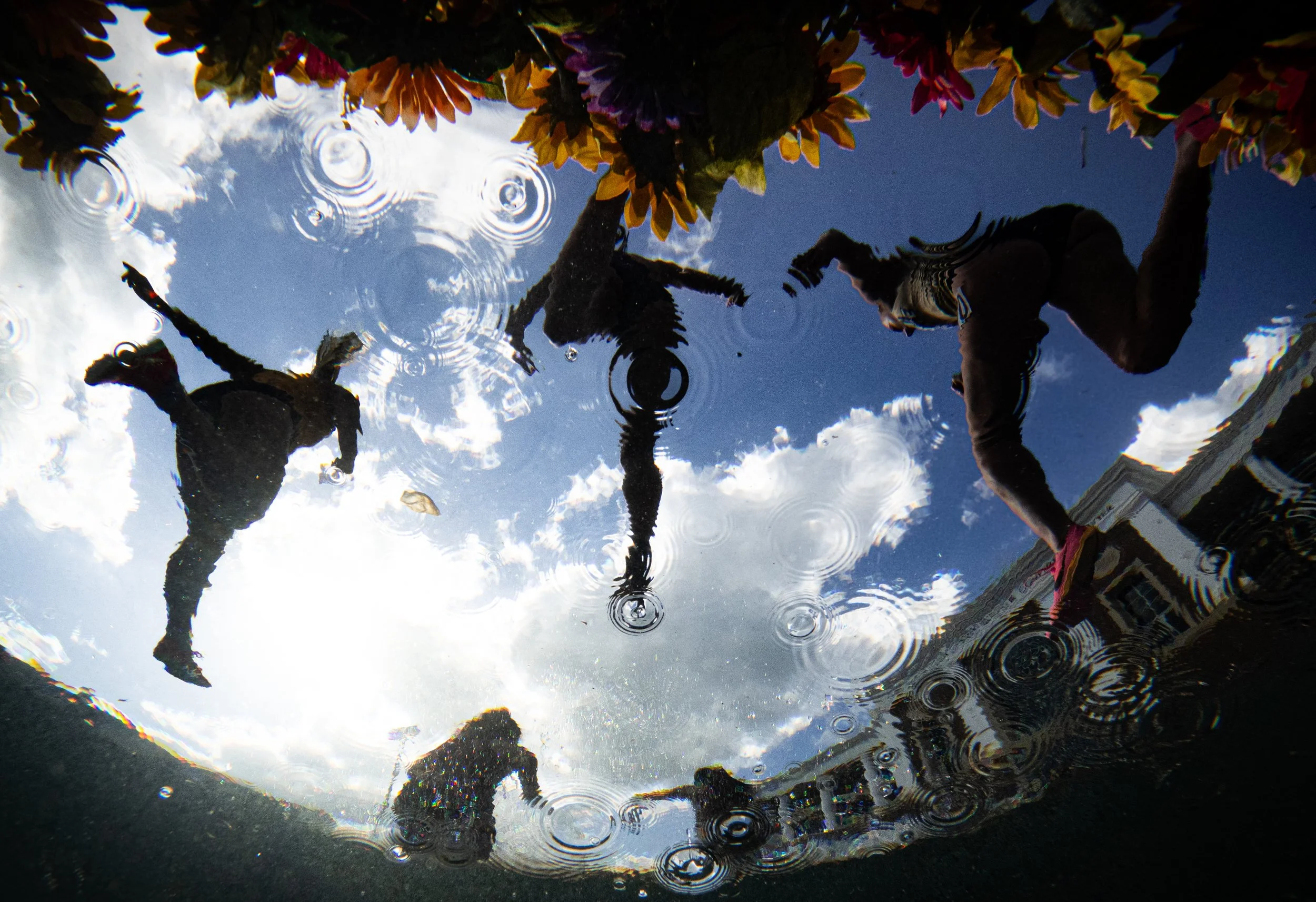 Ripple Effect by Alex Halloway, Winner - Audience Choice Award