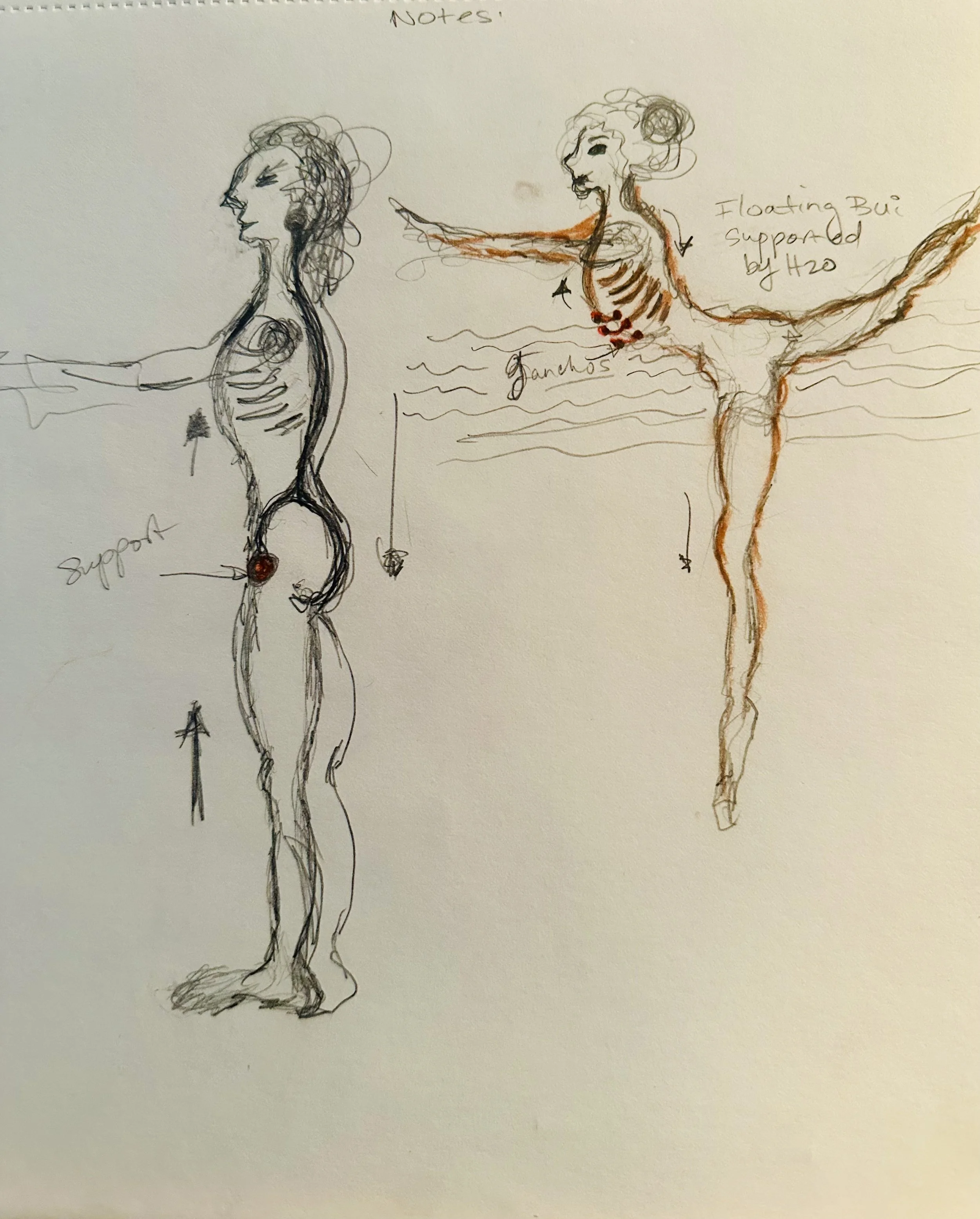 Buoyancy and Ribcage Placement