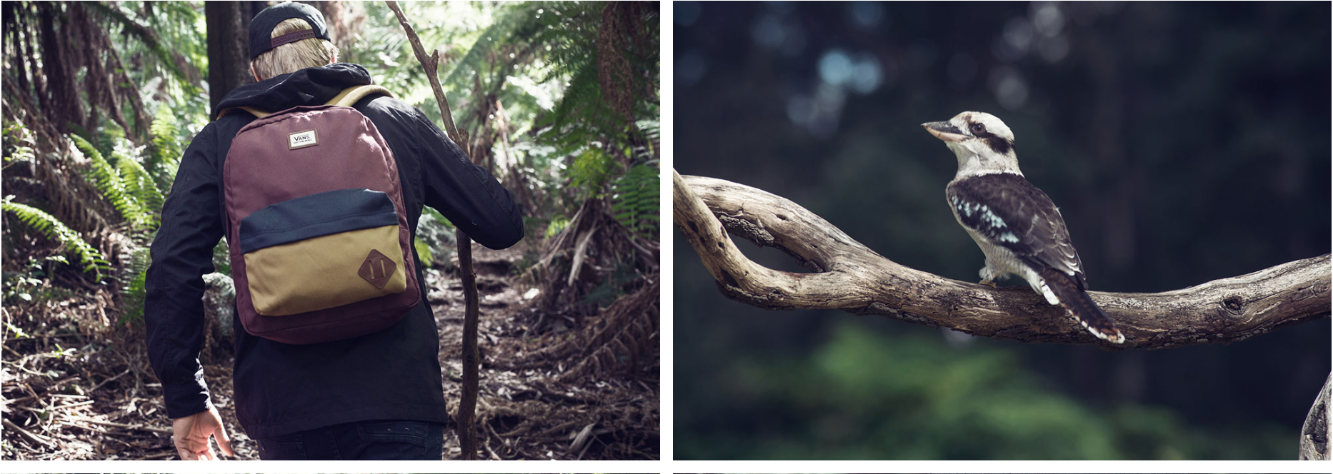 Screen Shot 2015-02-07 at 3.13.55 pm.png