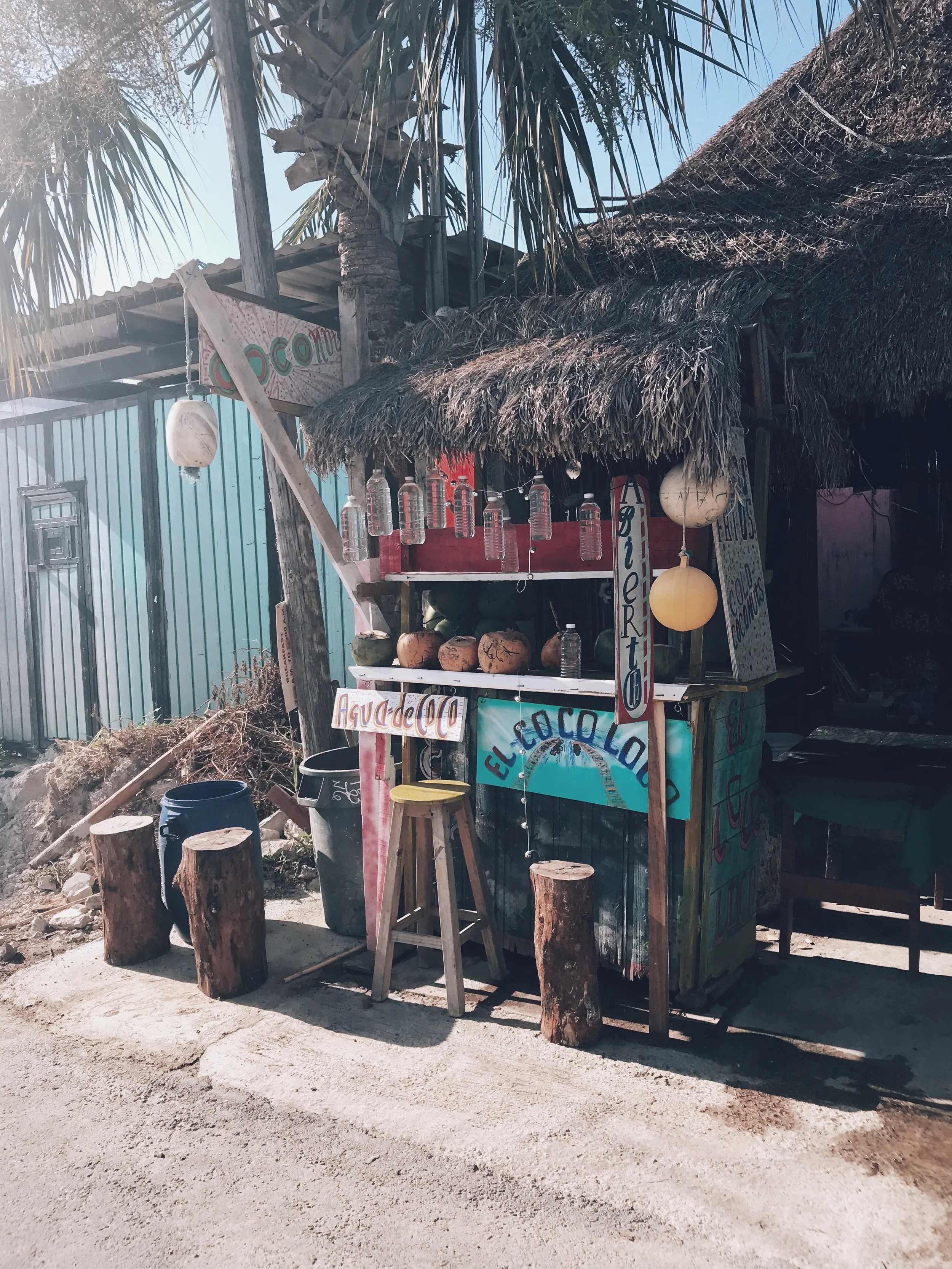 D0181E7E-BF27-4E72-AD9E-C6992FC9F6D2 2.JPG