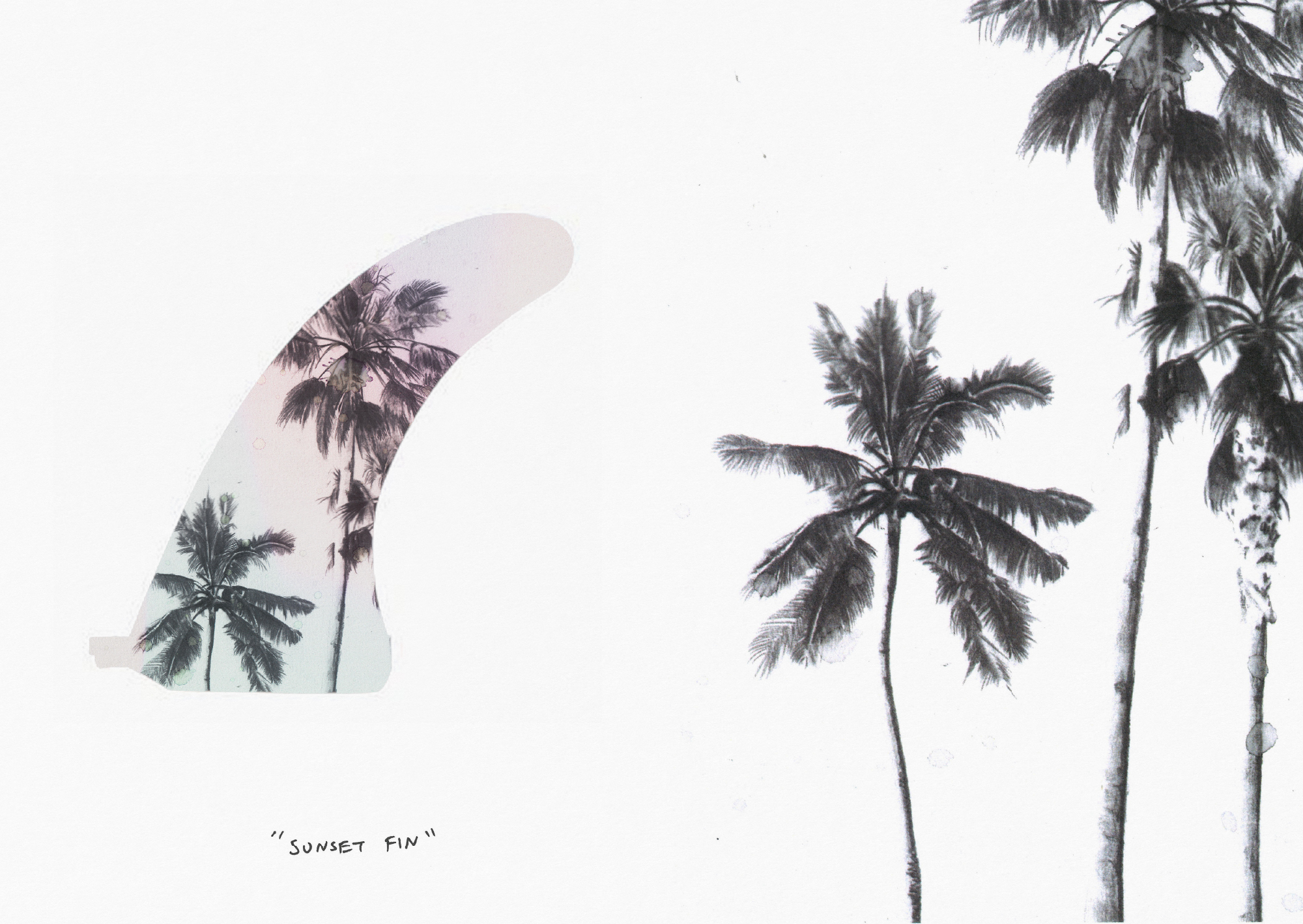 WAVE_CHASERS_BLOG-4 copy.jpg