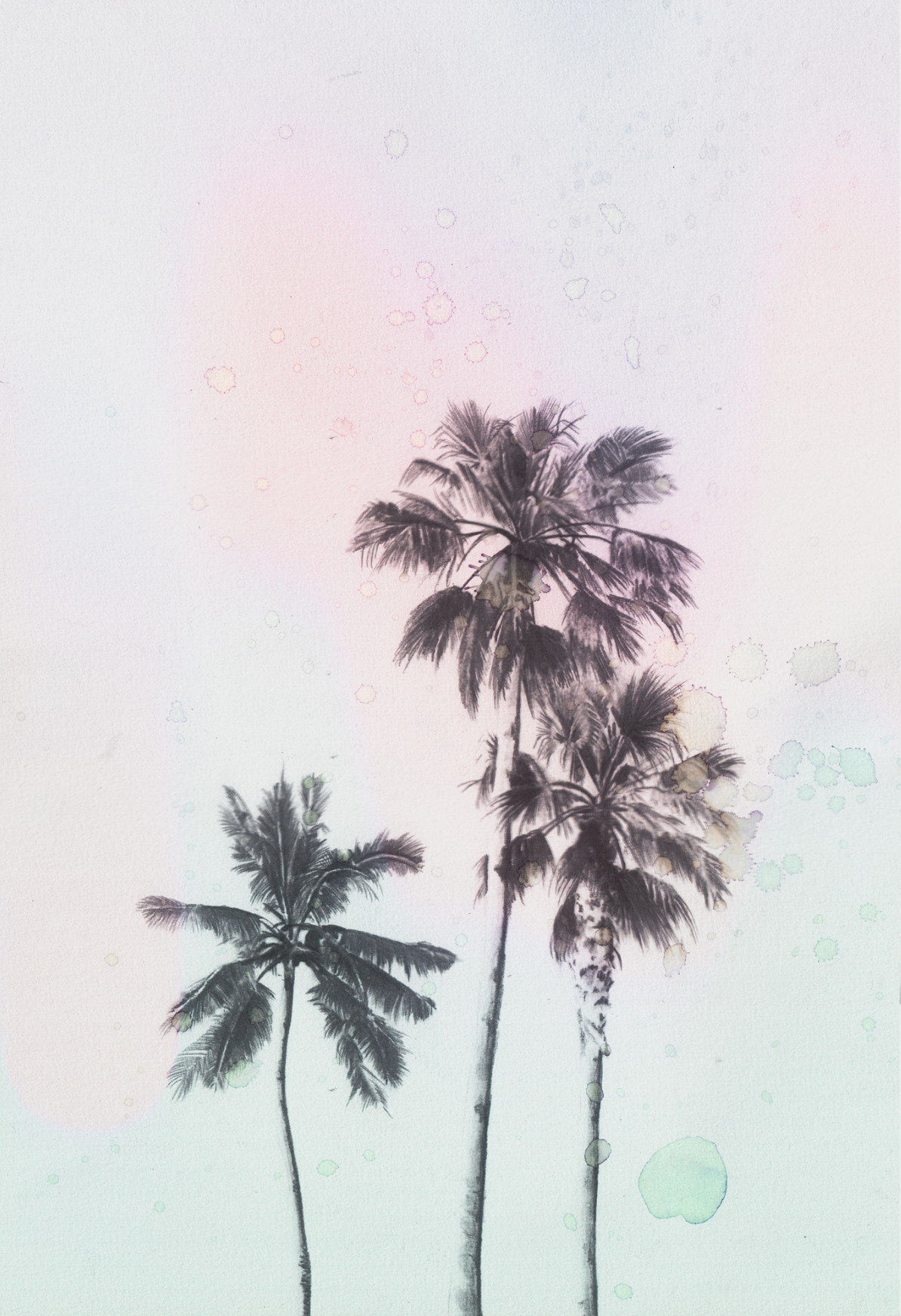 Screen Shot 2018-09-22 at 4.50.14 pm.png