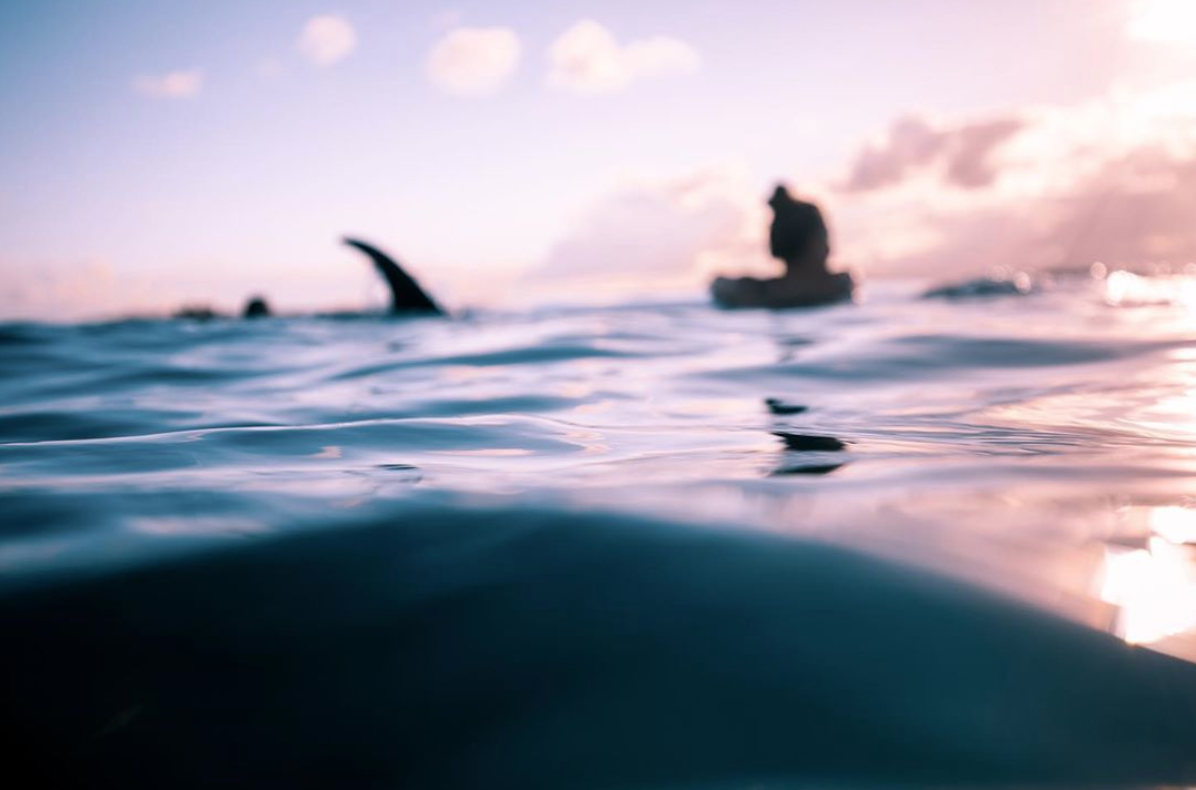 Screen Shot 2019-06-14 at 4.09.37 pm.png