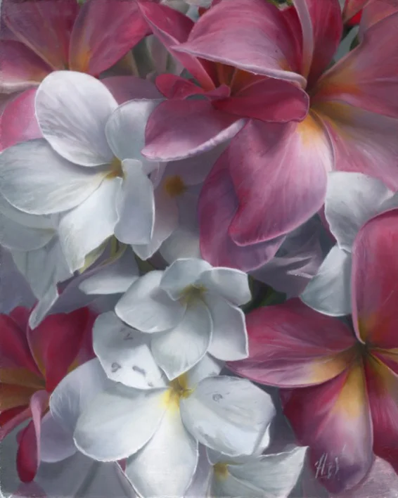 Plumeria