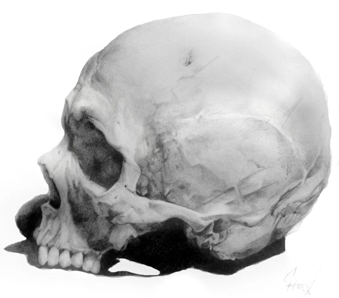 Skull 1