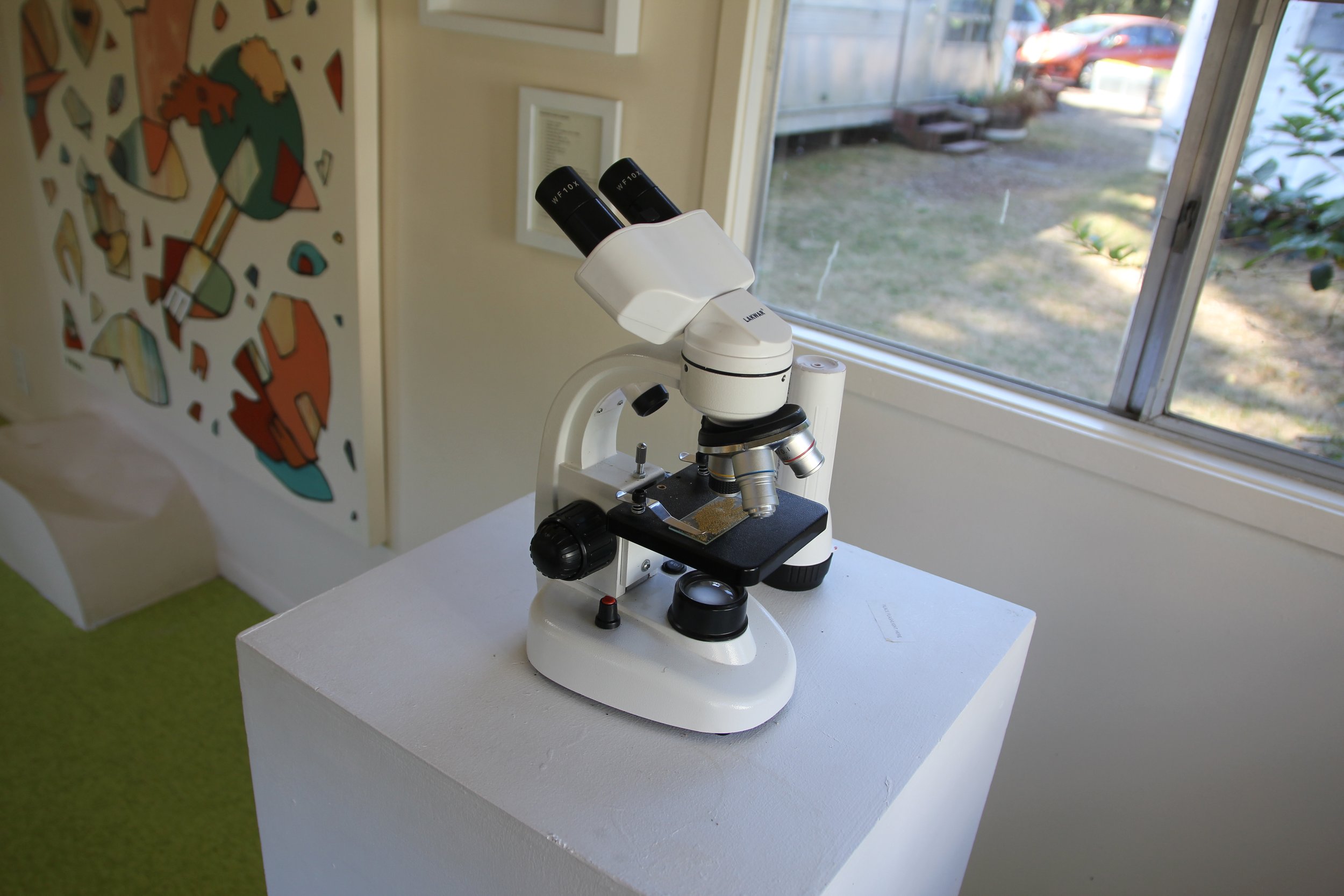  Microscope and 30 slides of sand submitted by volunteers. The Gallery Trailer, Sou’Wester Lodge. Seaview, WA 2023 