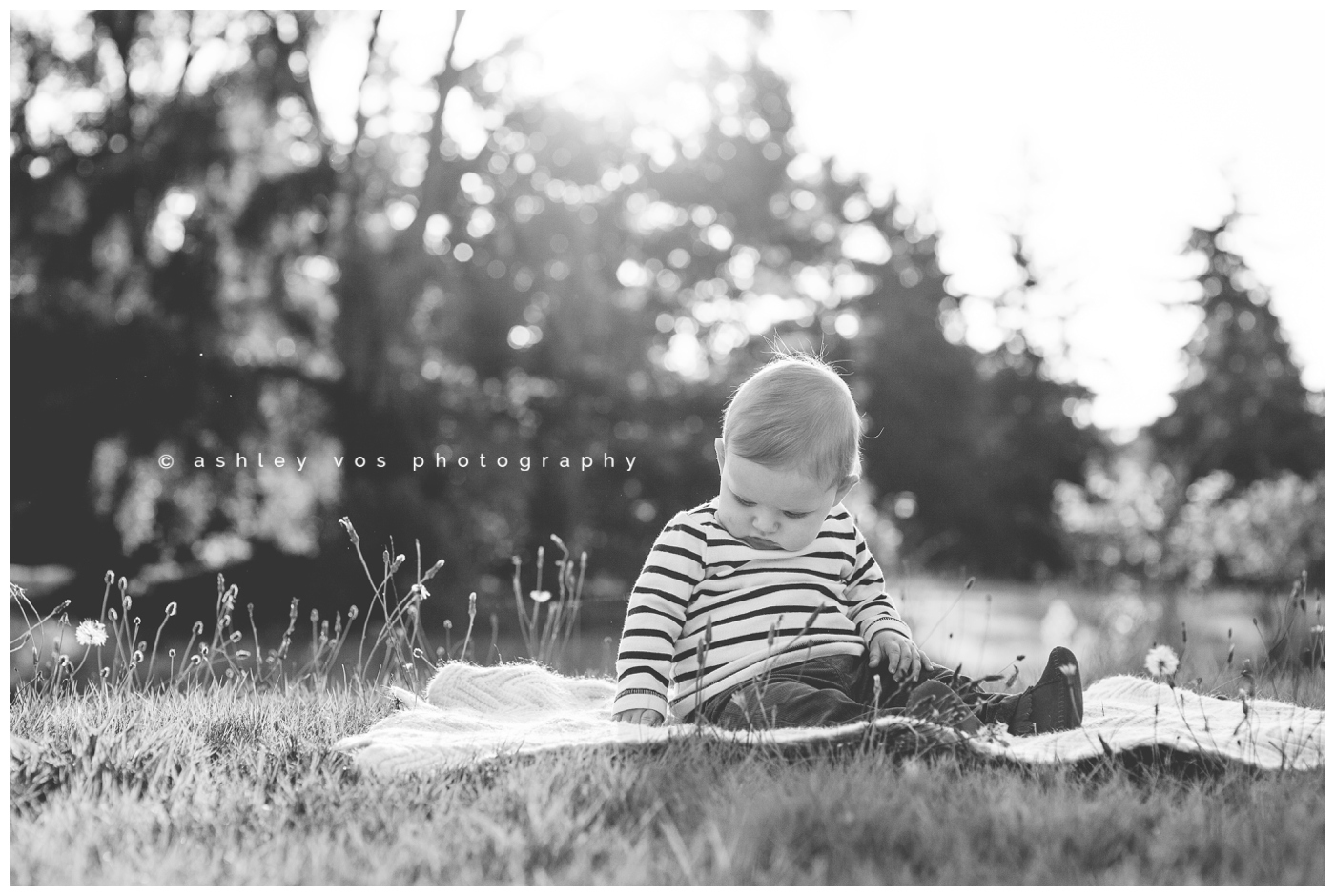 Seattle Lifestyle Family Session