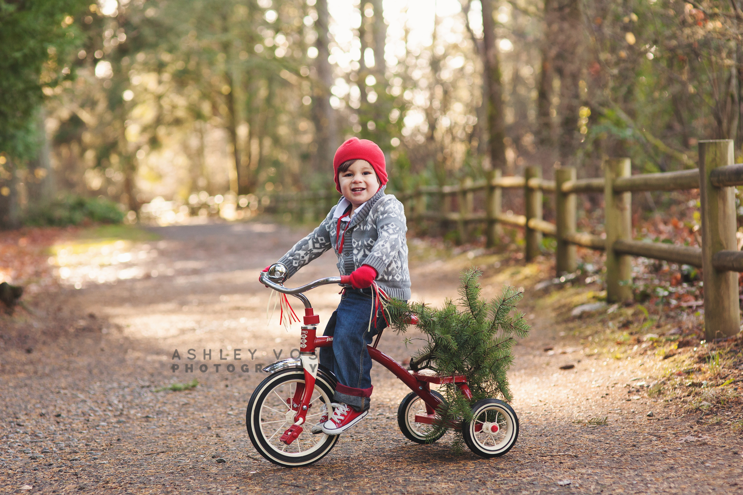 SEATTLE-FAMILY-PHOTOGRAPHY.png