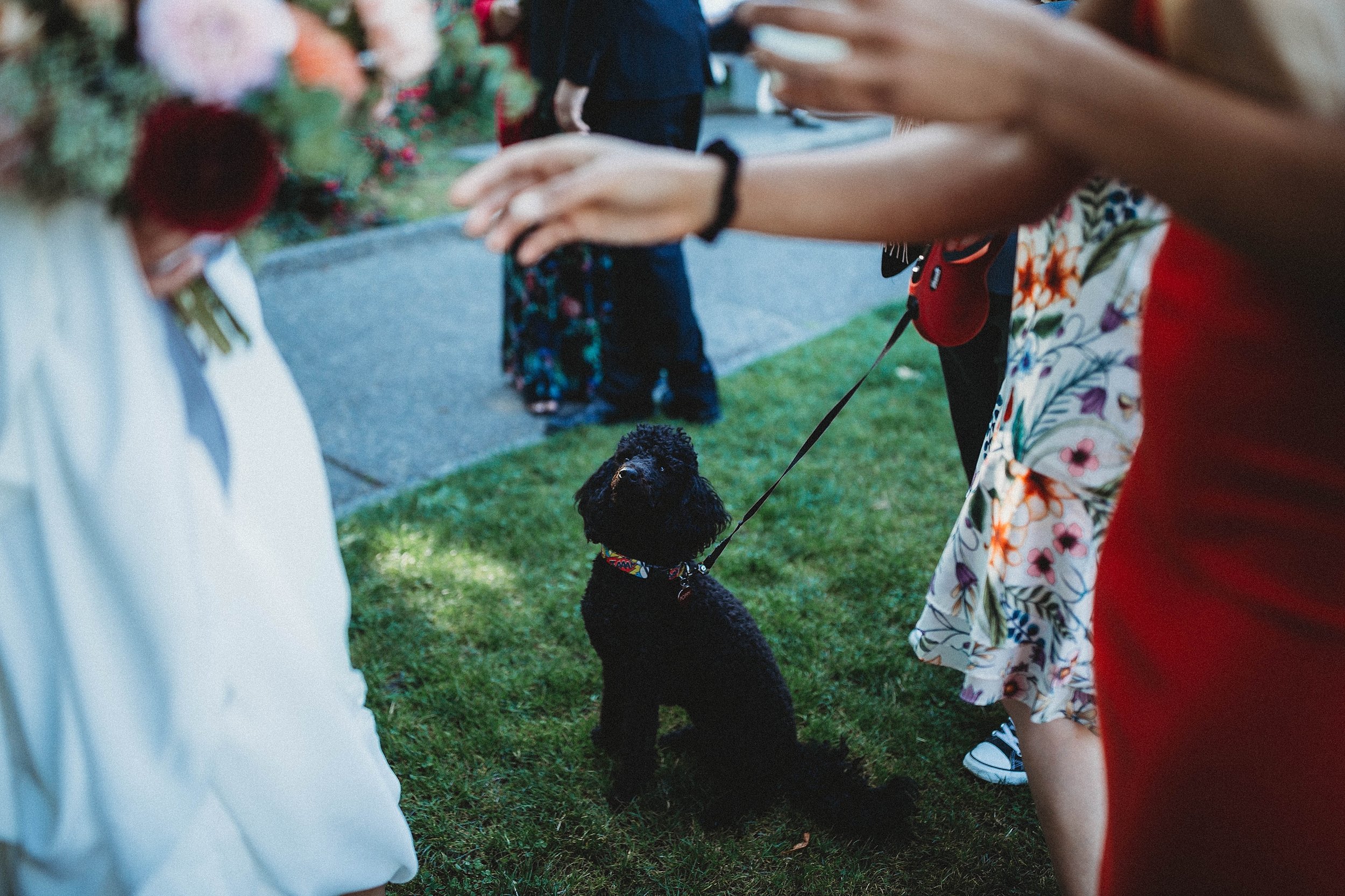 yinshi david - seattle wedding photographer - SAM wedding volunteer park reception -28.jpg