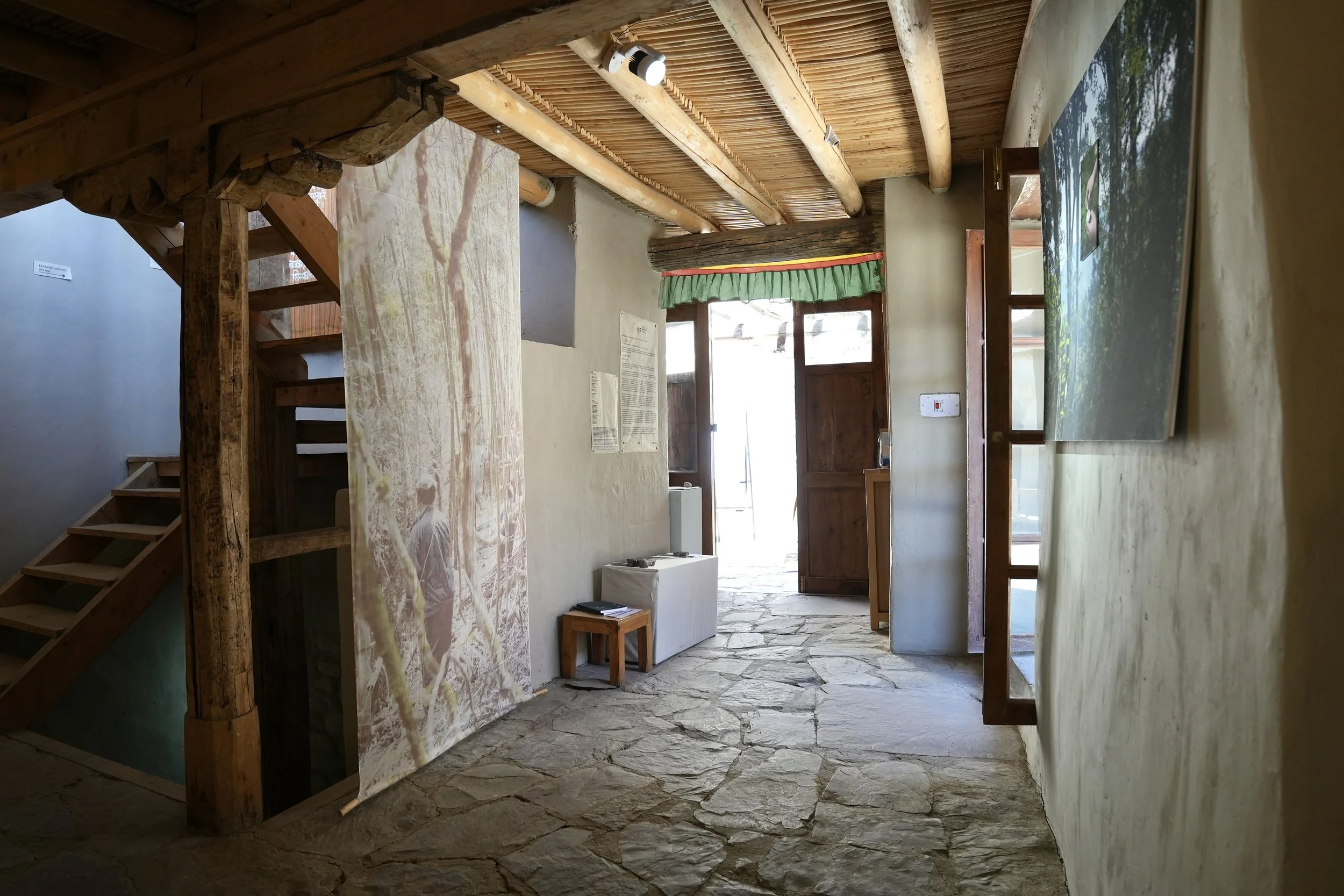 001_CYY03954.jpg