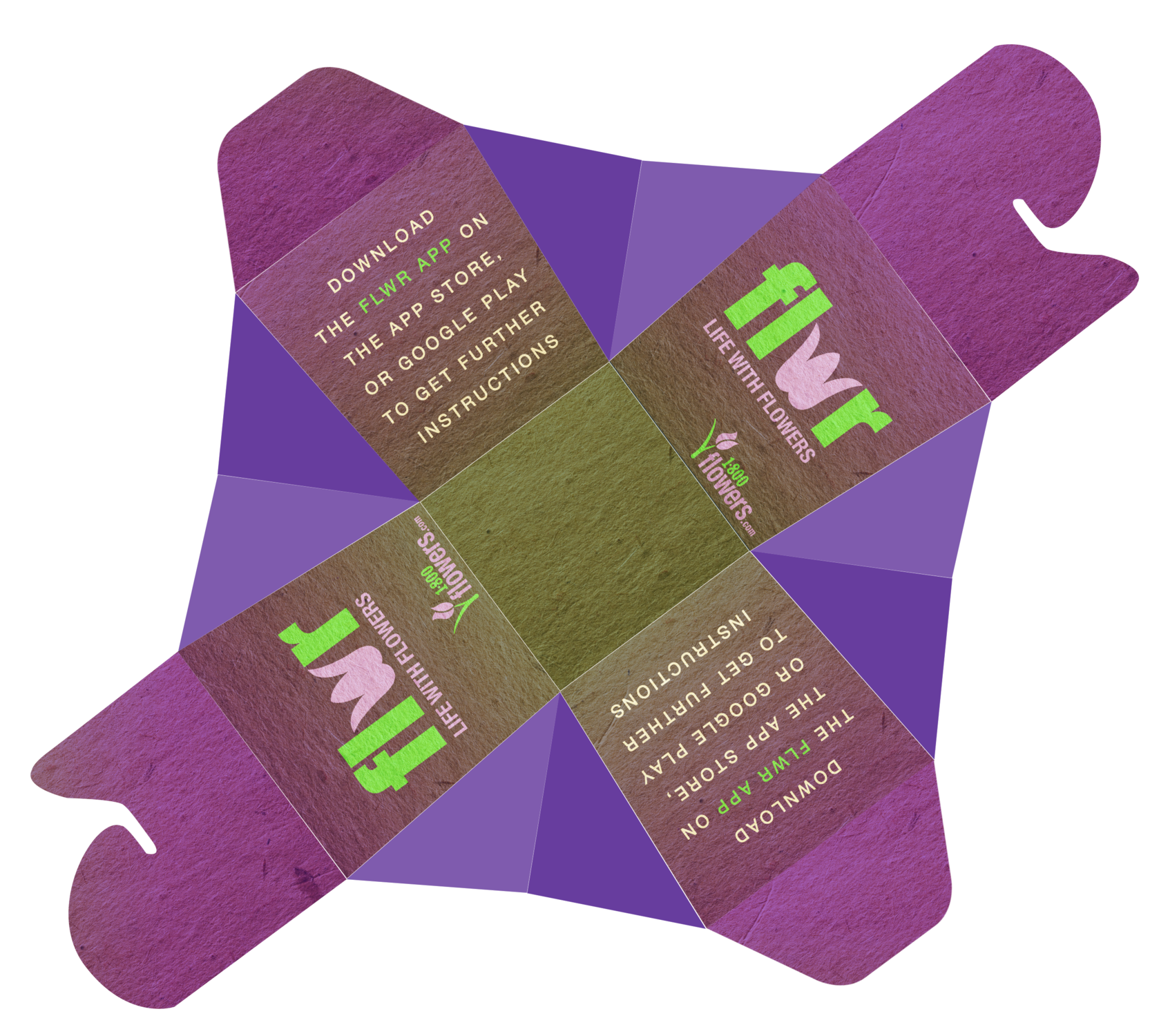 1800-BOX-NEW.png
