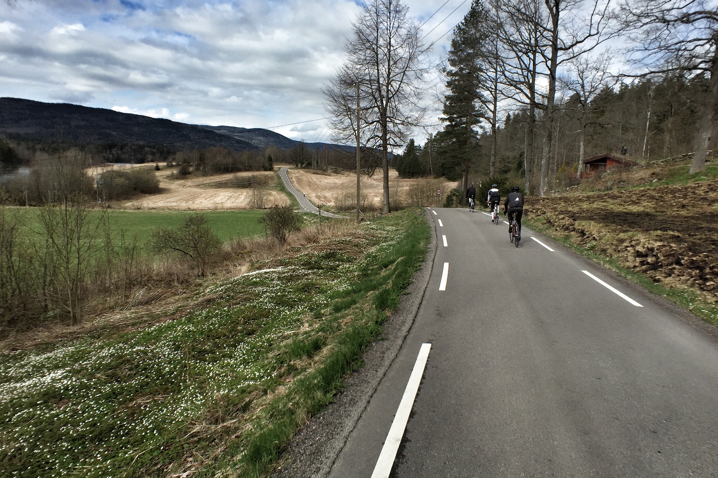 Sande, Svelvik &amp; Eidsfoss