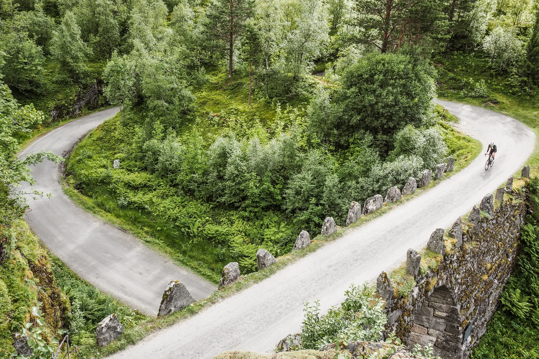 vegtur_dalsnibba_knuten_geiranger.jpg