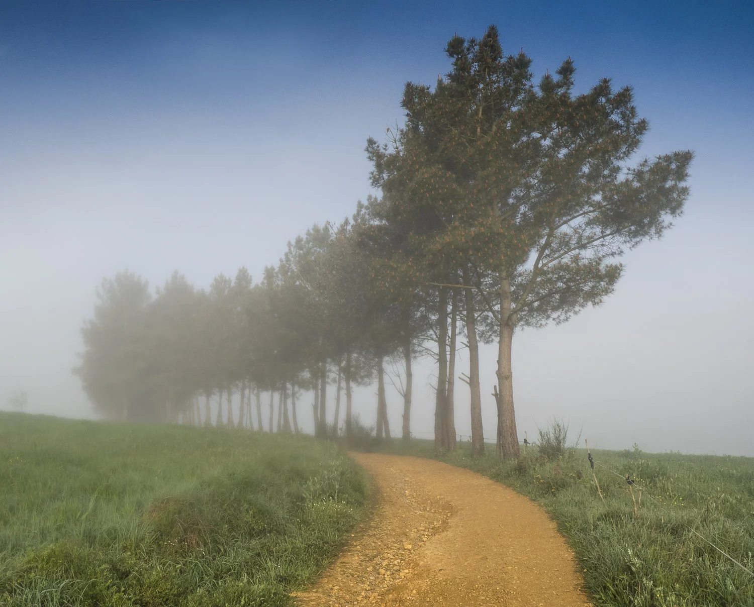 TOXIBO , a foggy morning but it's burning off to reveal a sunny day.