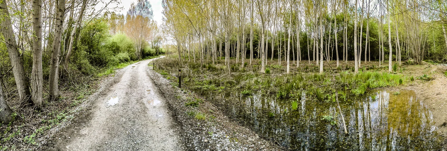 Wine country near Ponferrada.