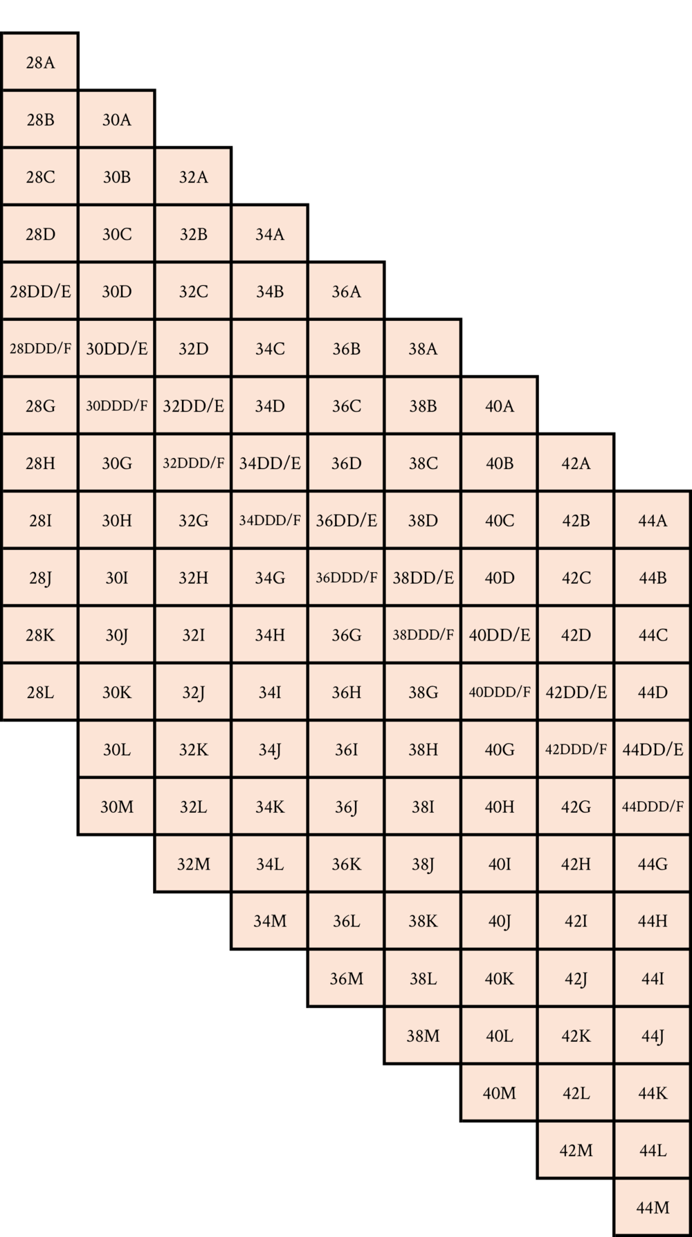 Sister Size Bra  Know Your Sister Size With Chart