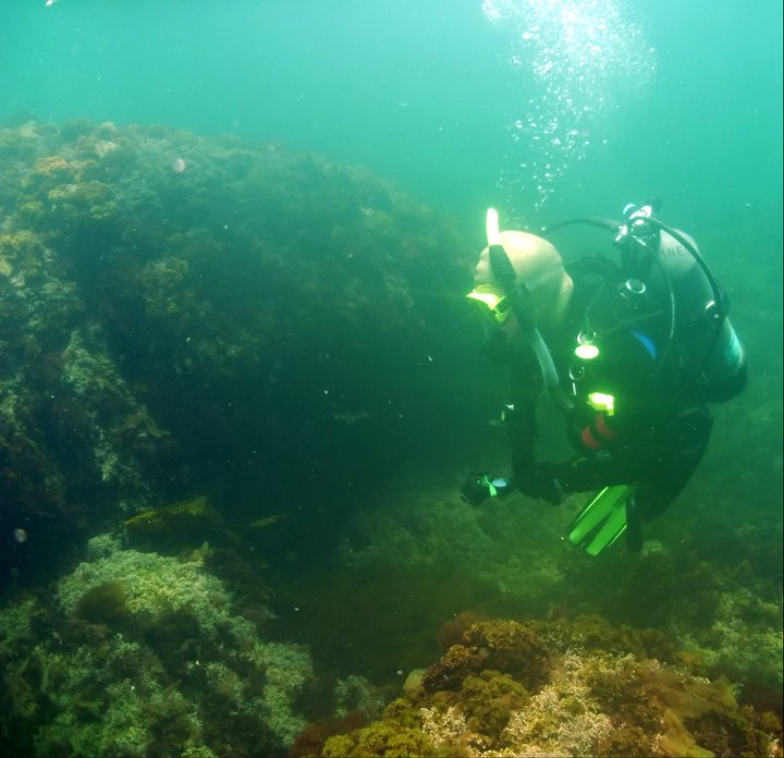 Marissa diving off of Monhegan Island, ME.