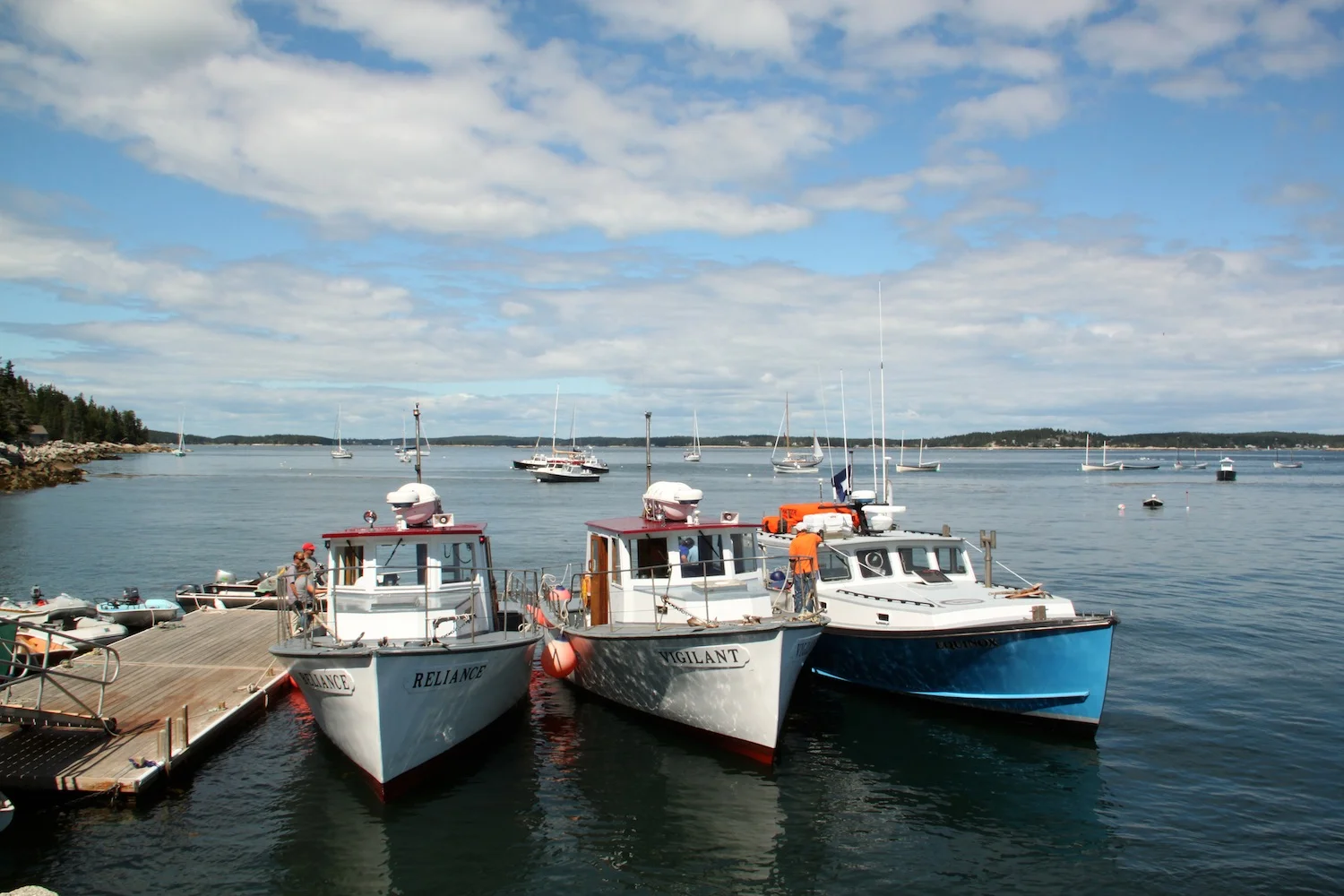 IMG_7004.JPG