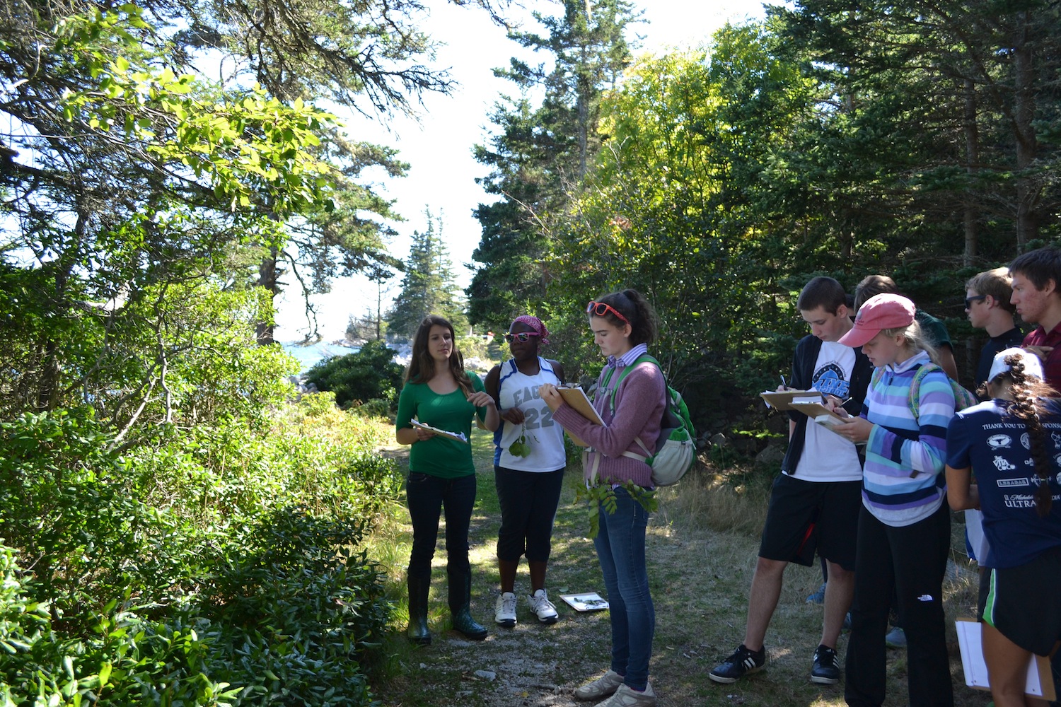Students work on field ID to prepare for phenology monitoring.
