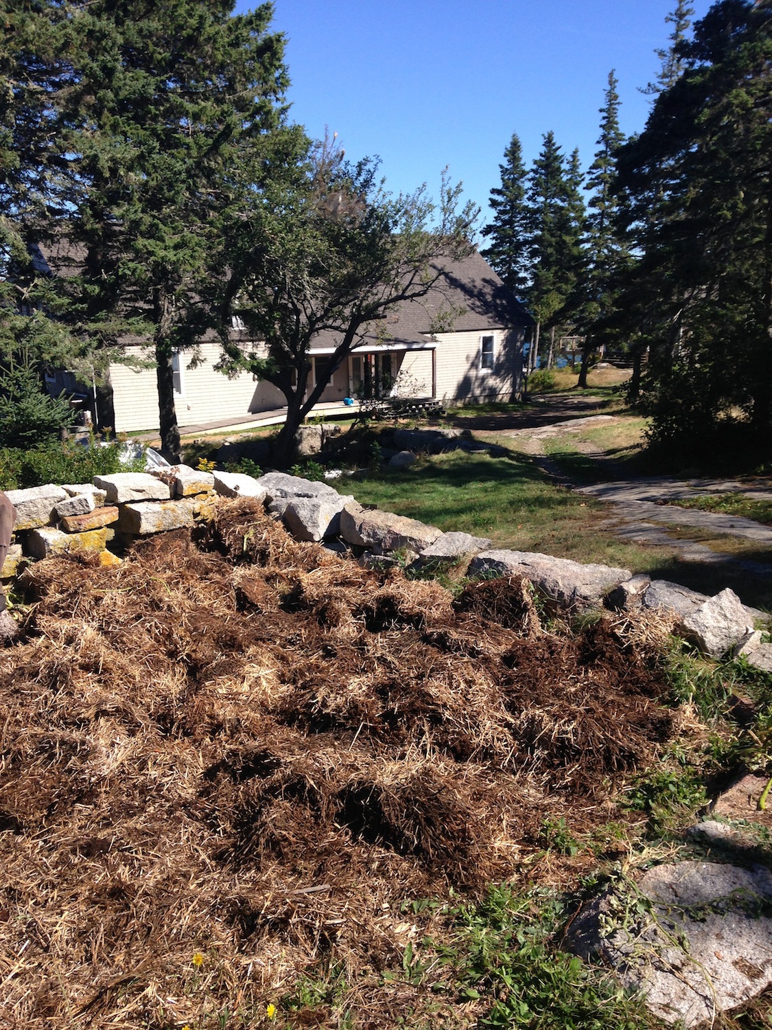 A look at our newly turned in garden