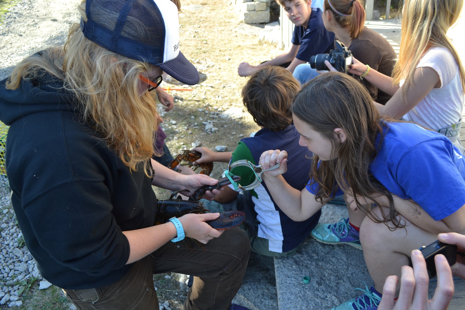Students learn how to band lobsters