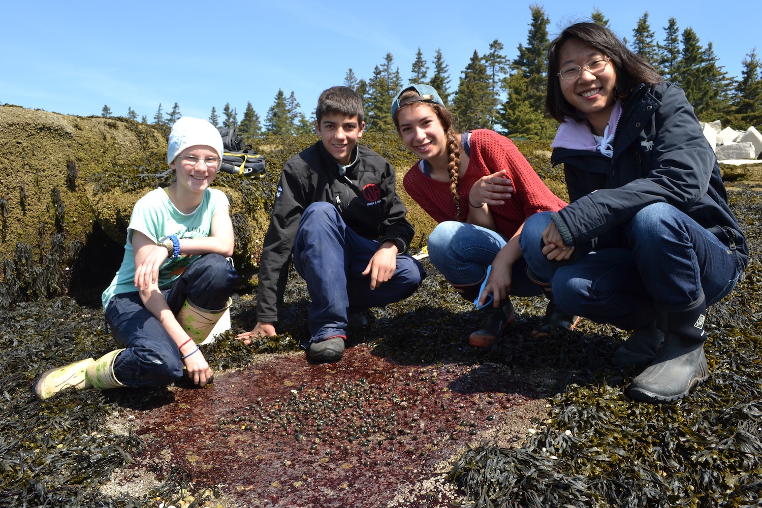 Team Winkle at their study site