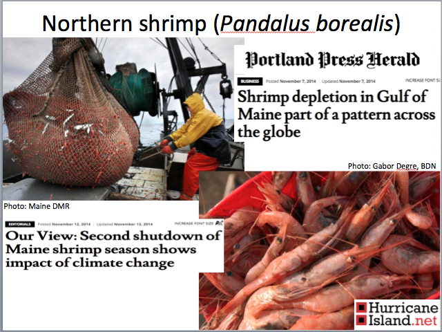 One of my presentation slides