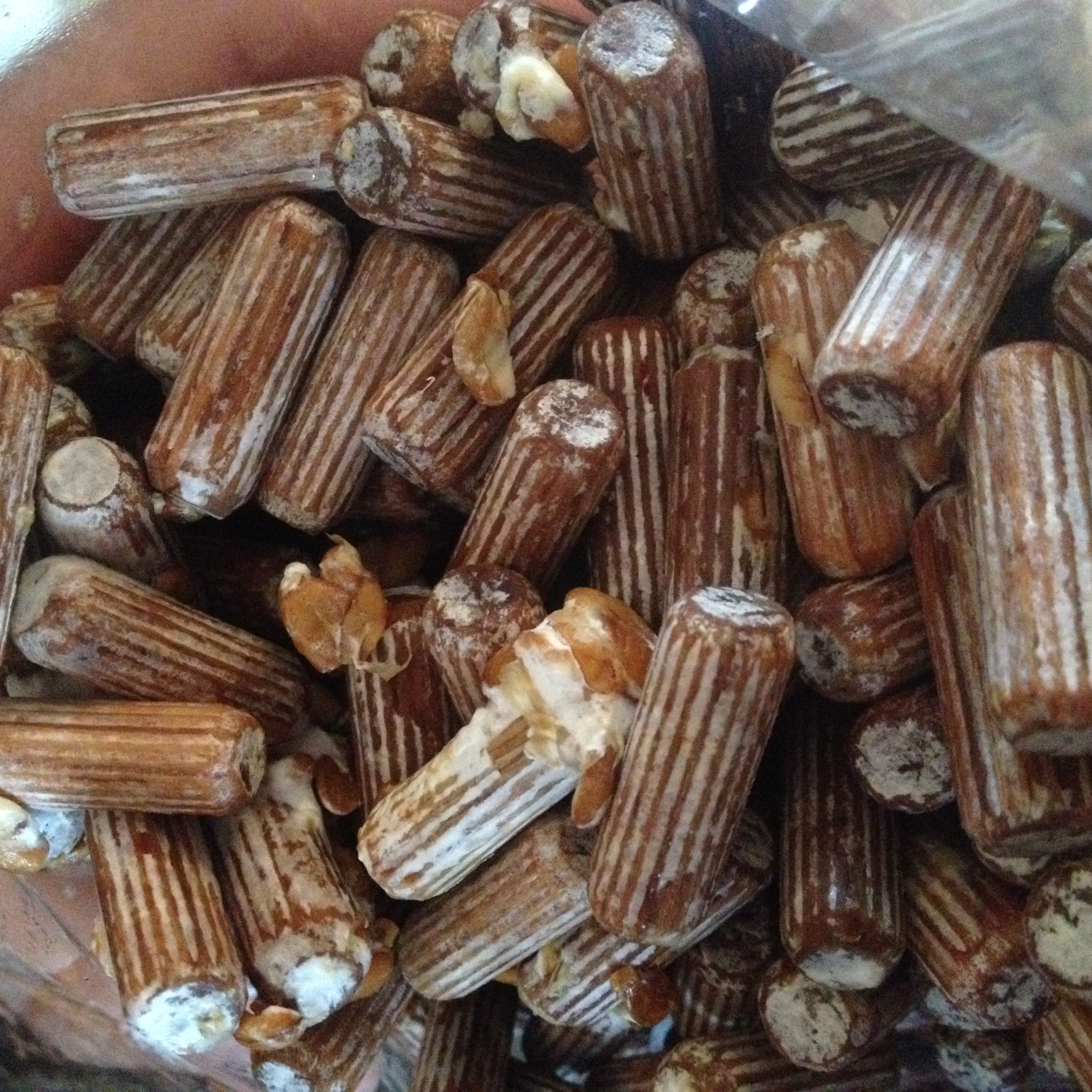 A look at the spawn plugs which are set into the hardwood logs